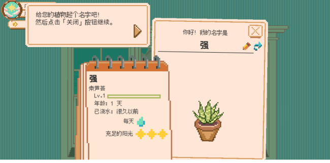 窗口花园