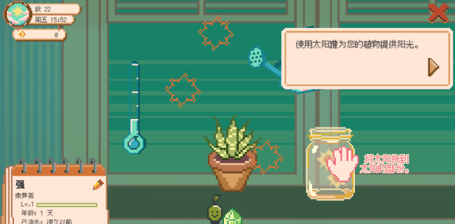 窗口花园