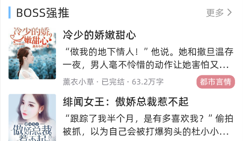 连情小说