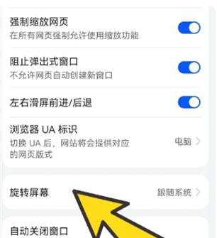 啵啵浏览器