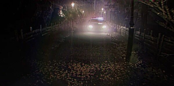 《Vesnith Tapes》免安装中文版