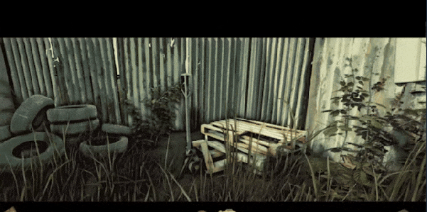 《Back in the Swamp》demo