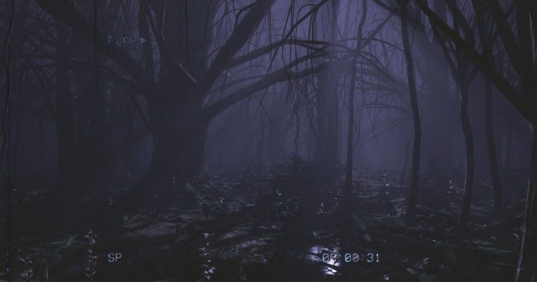 《后室录像带》官方版