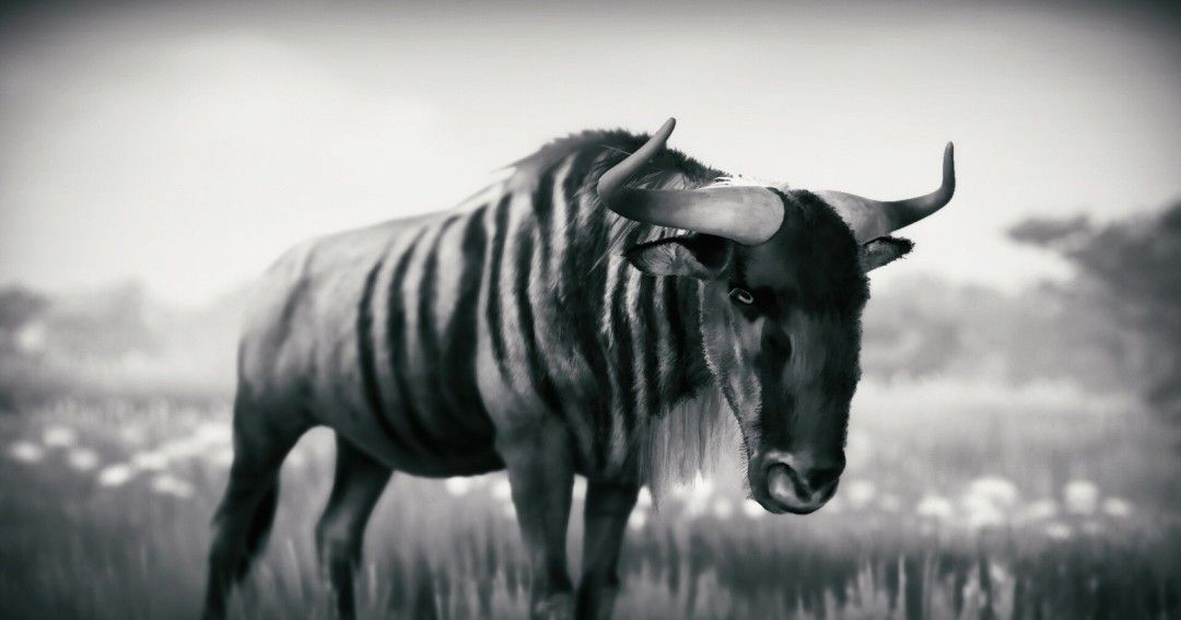 《幽居之境》官方版