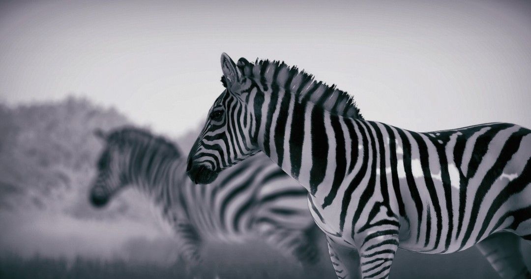 《幽居之境》官方版