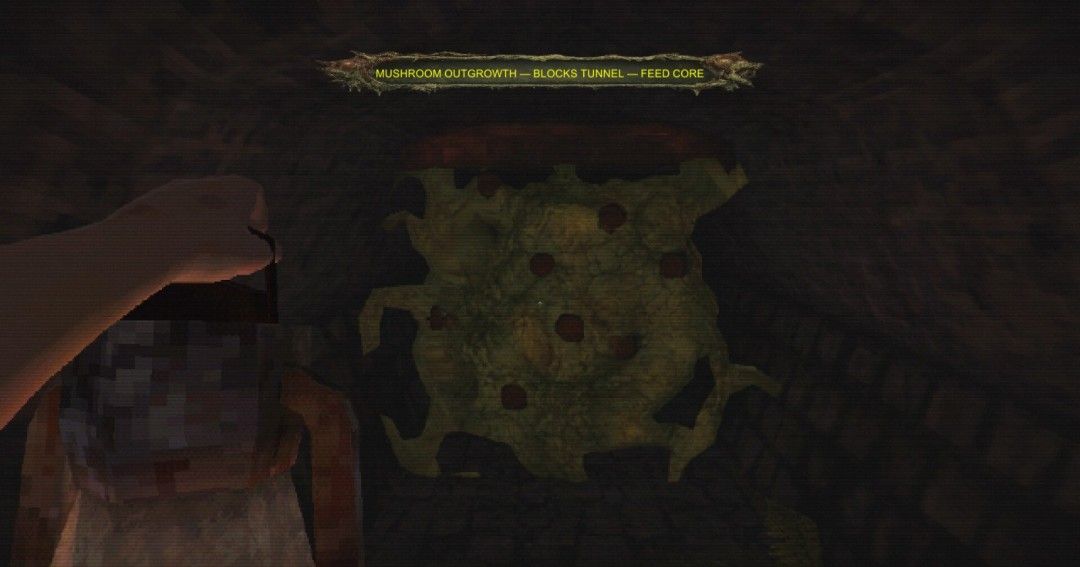 《CHWÆST: A Creeping Parasite Horror》免安装汉化版