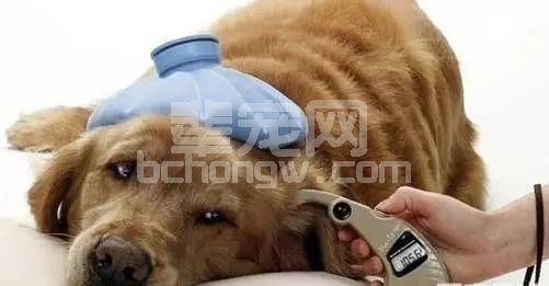 肢端肥大症和糖尿病