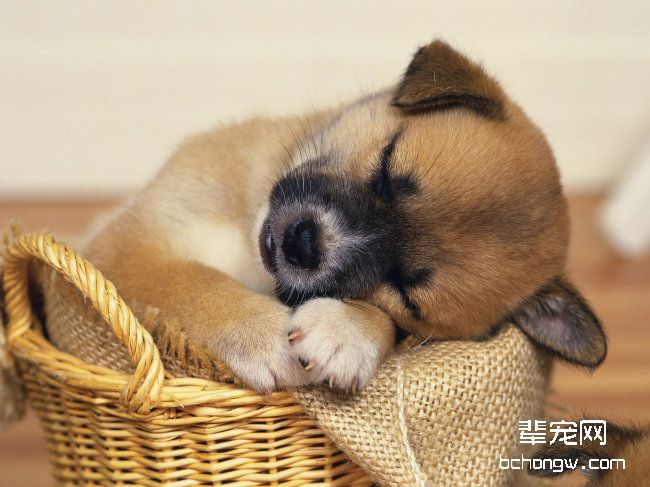 挑选