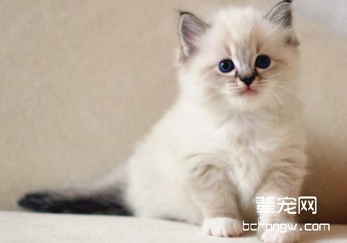 养成良好的排泄习惯