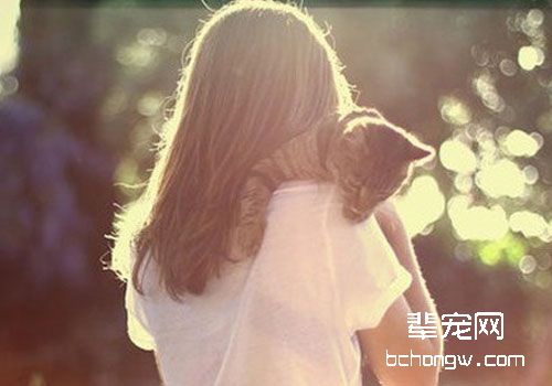 多陪伴猫咪，让它不寂寞