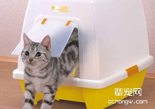 猫砂盆