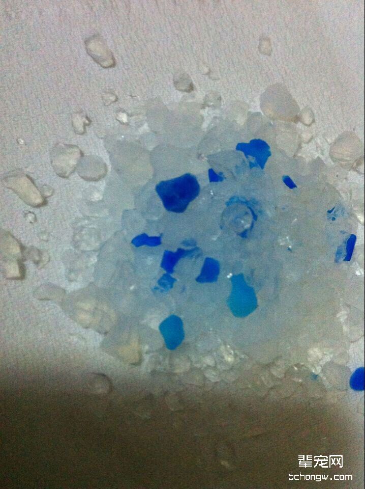 图4  水晶猫砂