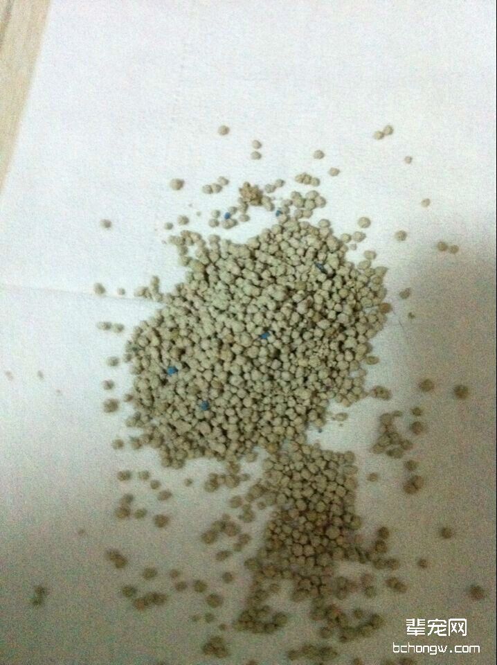 图5  凝结猫砂