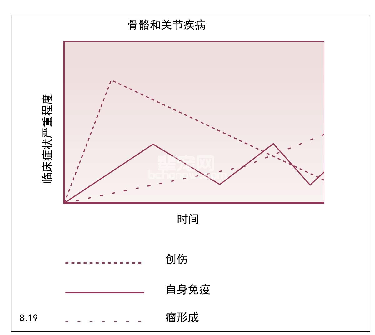 骨骼与关节病犬类，猫类