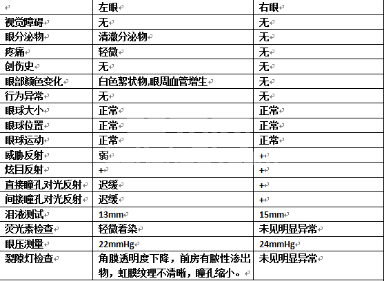 一例猫前房积脓诊治
