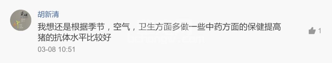 别用专家的治猪咳喘方案？这些一线养猪人的方案省钱高效！