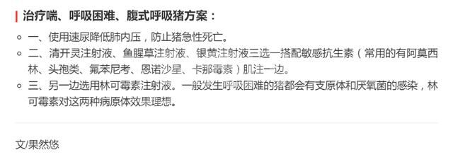 别用专家的治猪咳喘方案？这些一线养猪人的方案省钱高效！