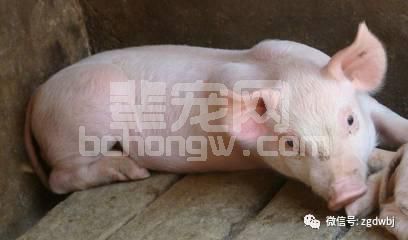 148600076fdc635cb33a.jpg