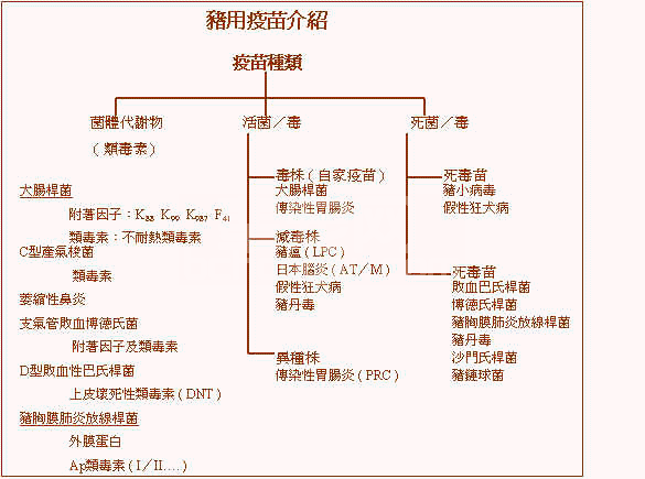 wpe16.jpg (35869 bytes)