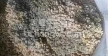 辈宠网