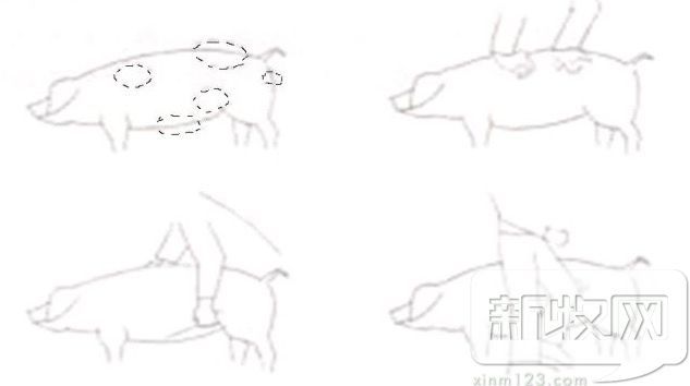 \