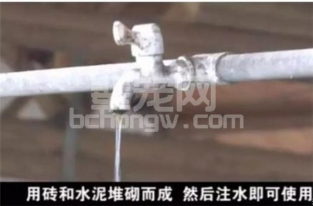 辈宠网