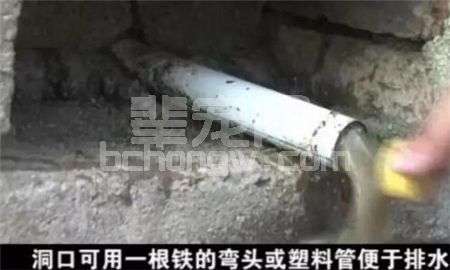 辈宠网