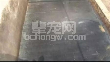 辈宠网