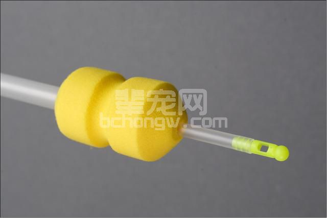 图文并茂：手把手教你母猪发情鉴定与子宫深部输精技术