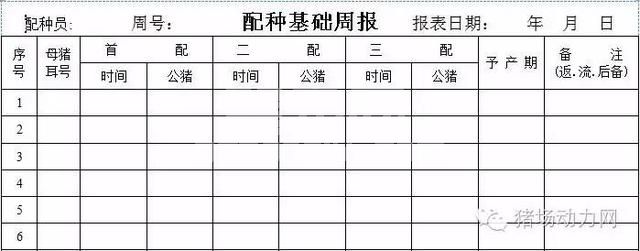 这33个猪场最常用报表，抓紧收藏！