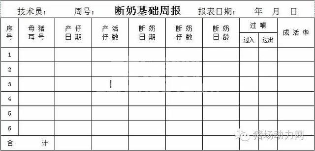 这33个猪场最常用报表，抓紧收藏！