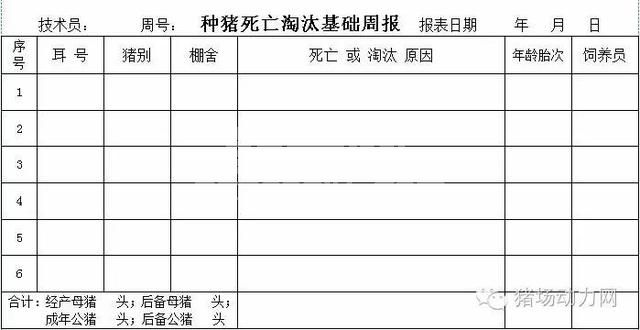 这33个猪场最常用报表，抓紧收藏！
