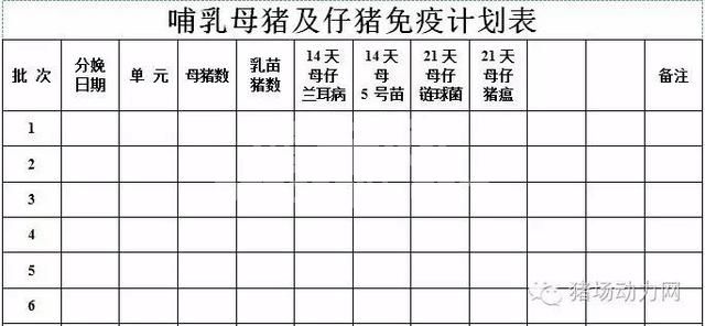 这33个猪场最常用报表，抓紧收藏！