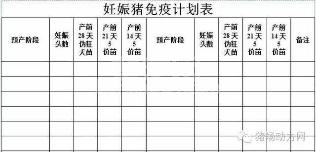 这33个猪场最常用报表，抓紧收藏！