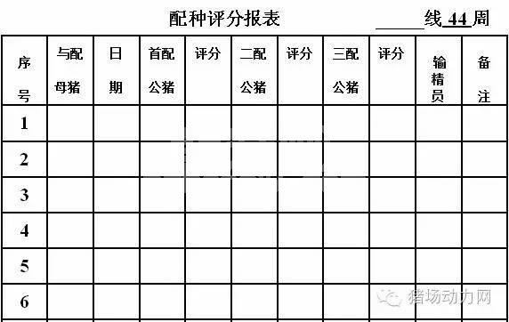 这33个猪场最常用报表，抓紧收藏！