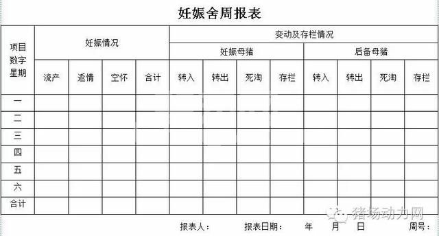 这33个猪场最常用报表，抓紧收藏！