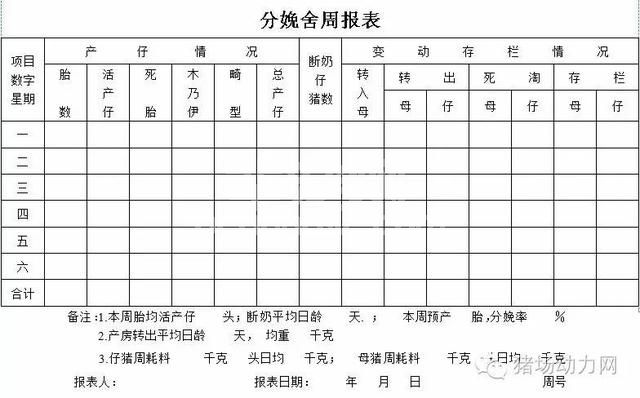 这33个猪场最常用报表，抓紧收藏！