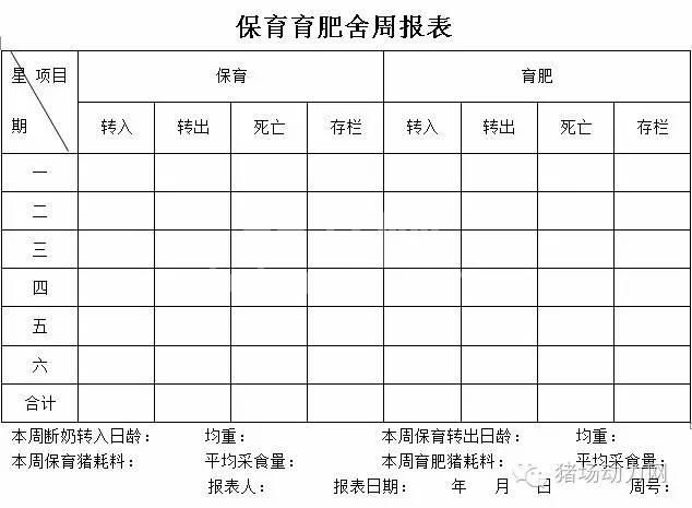 这33个猪场最常用报表，抓紧收藏！