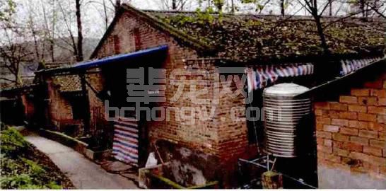 手把手教你中小型猪场如何赚钱又环保，连设计图都做好了！
