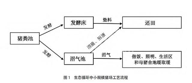 手把手教你中小型猪场如何赚钱又环保，连设计图都做好了！