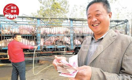 农村养猪人和猪贩子谈猪价，为什么总是完败！