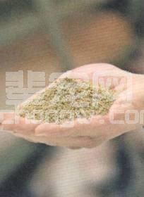 如何让仔猪稳定渡过断奶期？不同饲料的差异先弄清楚