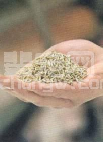 如何让仔猪稳定渡过断奶期？不同饲料的差异先弄清楚