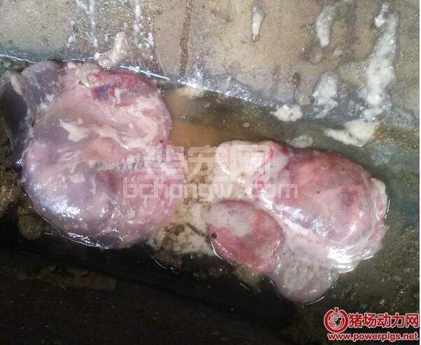 QQ截图20170315090918.jpg
