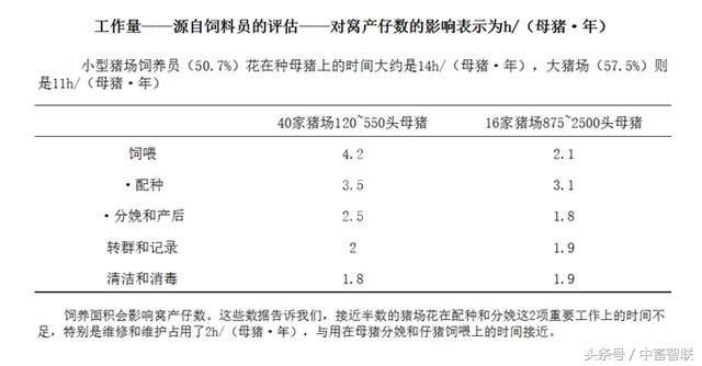 猪场哪些导致母猪我产仔数低的因素，该如何解决？