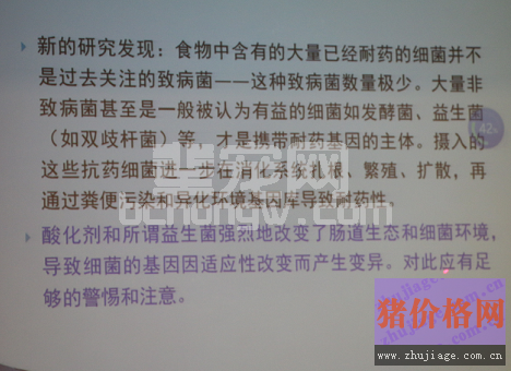 益生菌.png