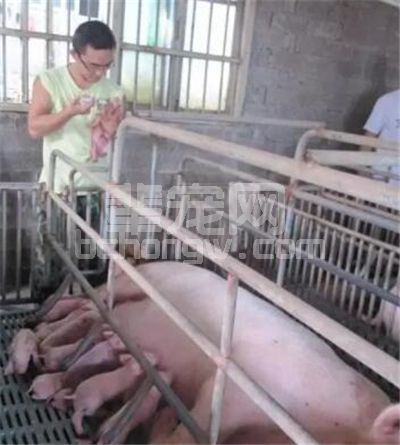 辈宠网