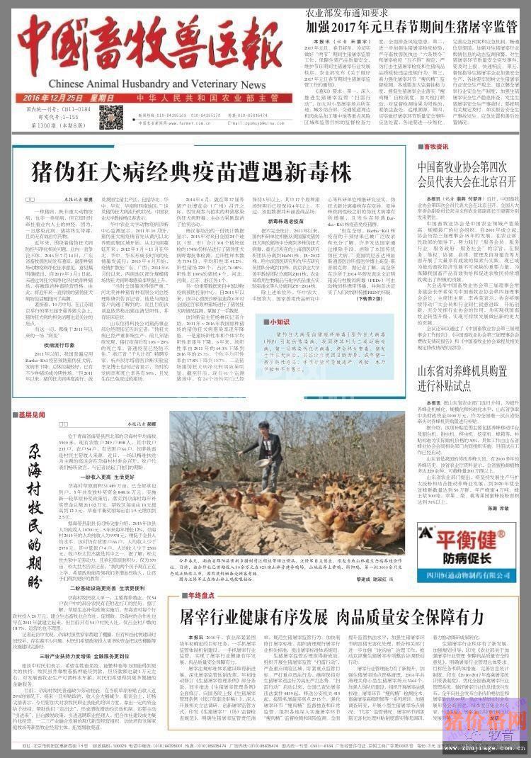 猪伪狂犬病是由猪疱疹病毒