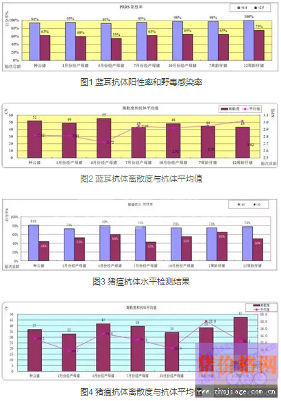 猪蓝耳病弱毒疫苗对猪瘟抗体水平有怎样的影响？