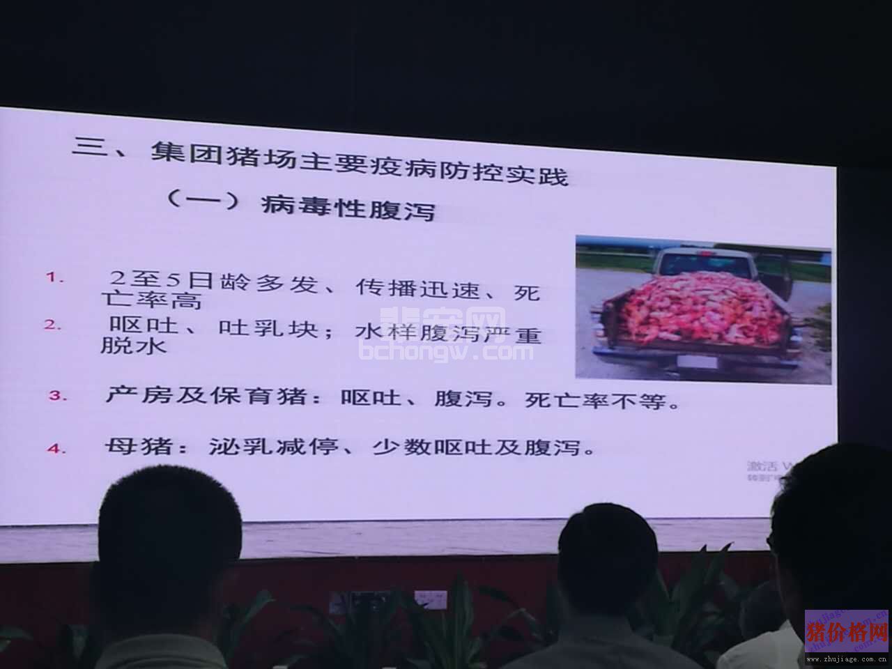 贺东生：规模化养猪场疫病防控的顶层设计与实践